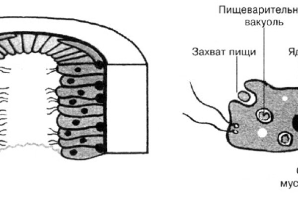 Кракен зеркало 2kraken biz