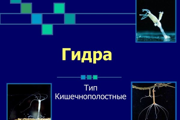 Кракен сайт kr2web in официальный ссылка