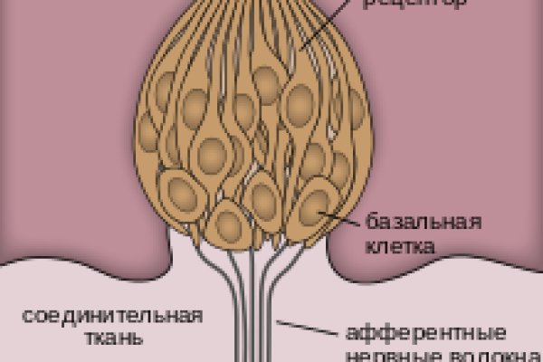 Ссылки для tor