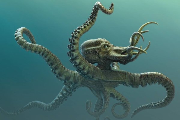 Как найти kraken