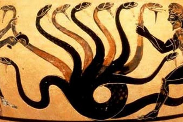 Kraken 20at