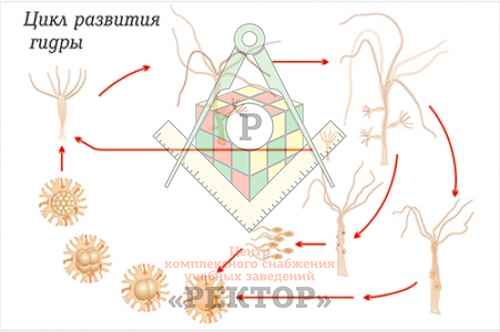 Кракен маркет зеркало